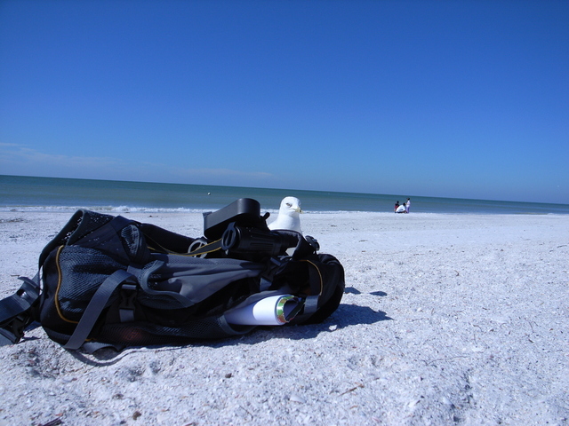 2008.01.20.R0014181.JPG