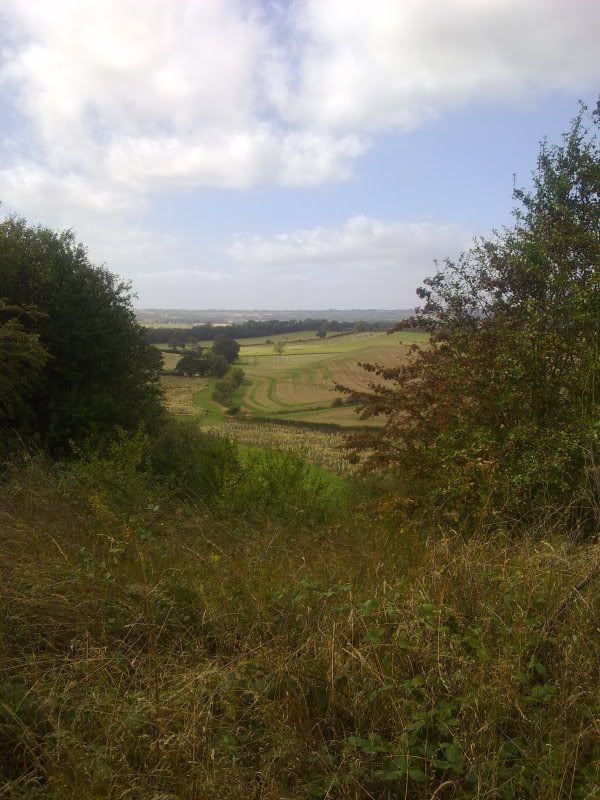 12092011141.jpg