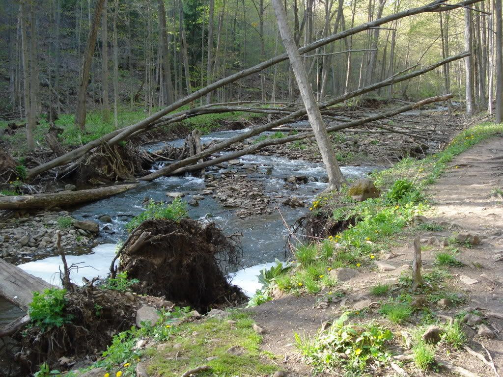DSC01024.jpg