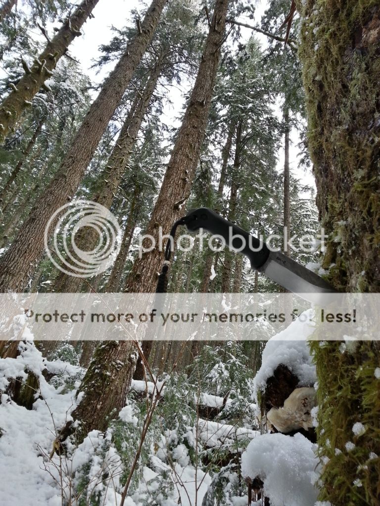 20121213_124113_HDR_zps9d39f50b.jpg