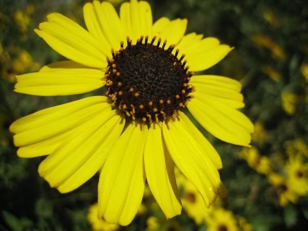 IMG_7136.jpg