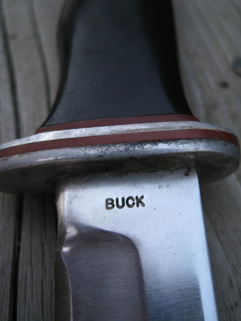 BillsBusses034-1.jpg