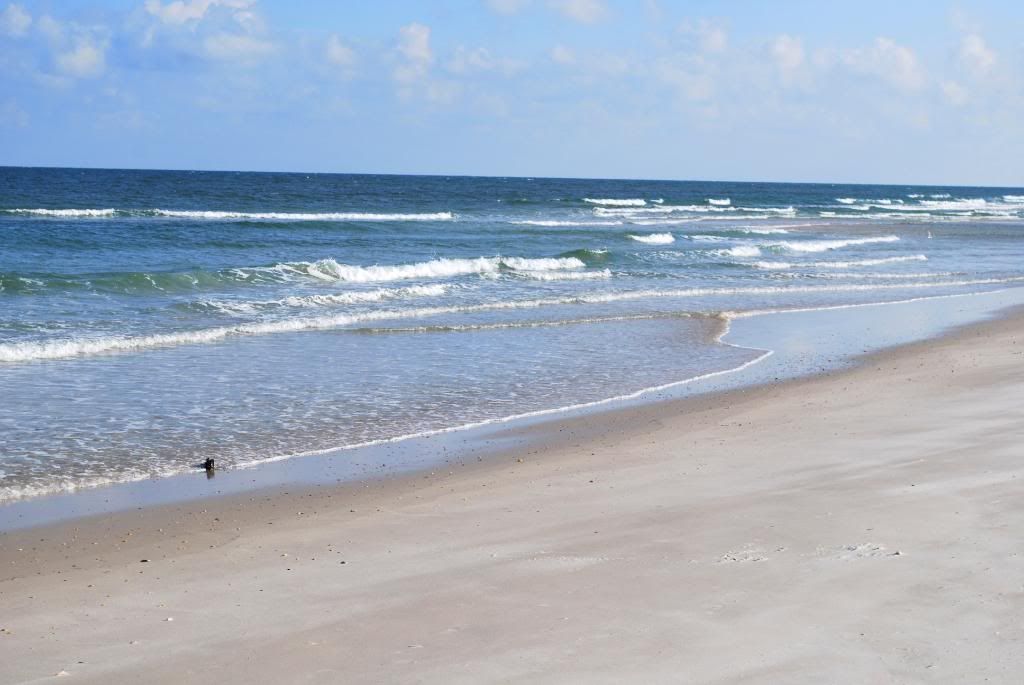 DSC_0187.jpg