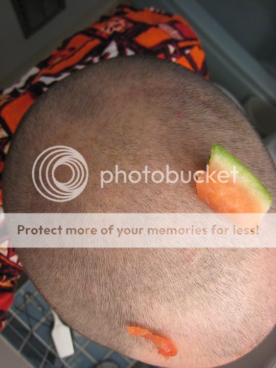 melon8.jpg