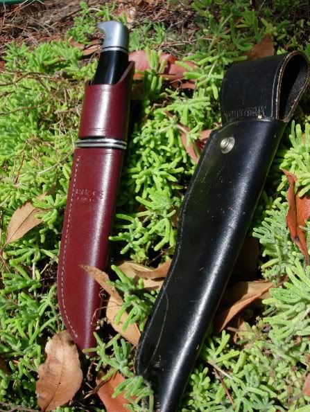 119twosheaths6-05.jpg