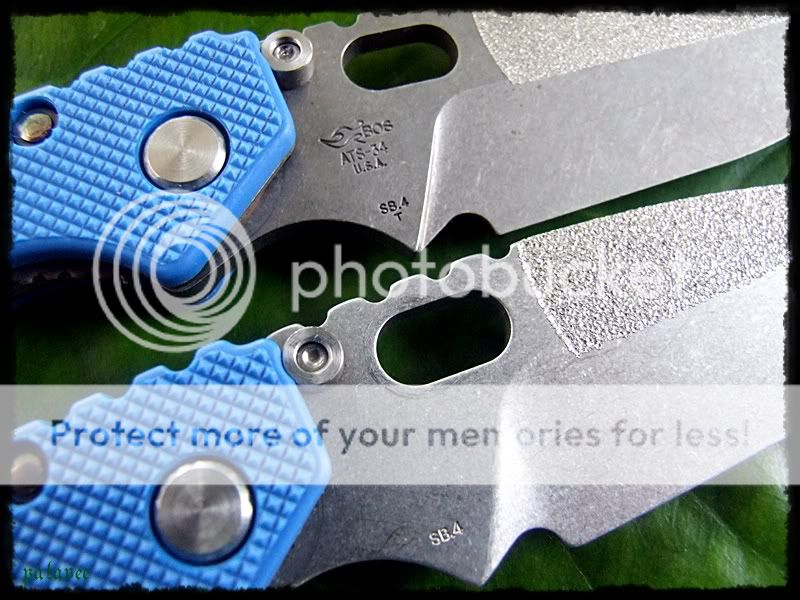 DSCF9291.jpg