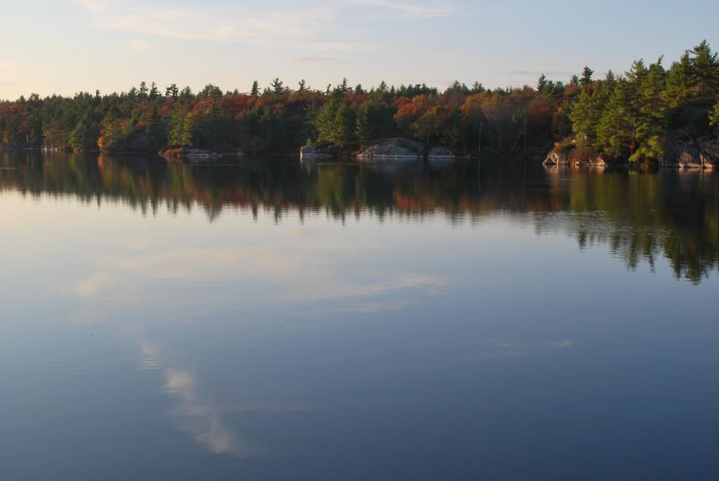 DSC_0146-1.jpg