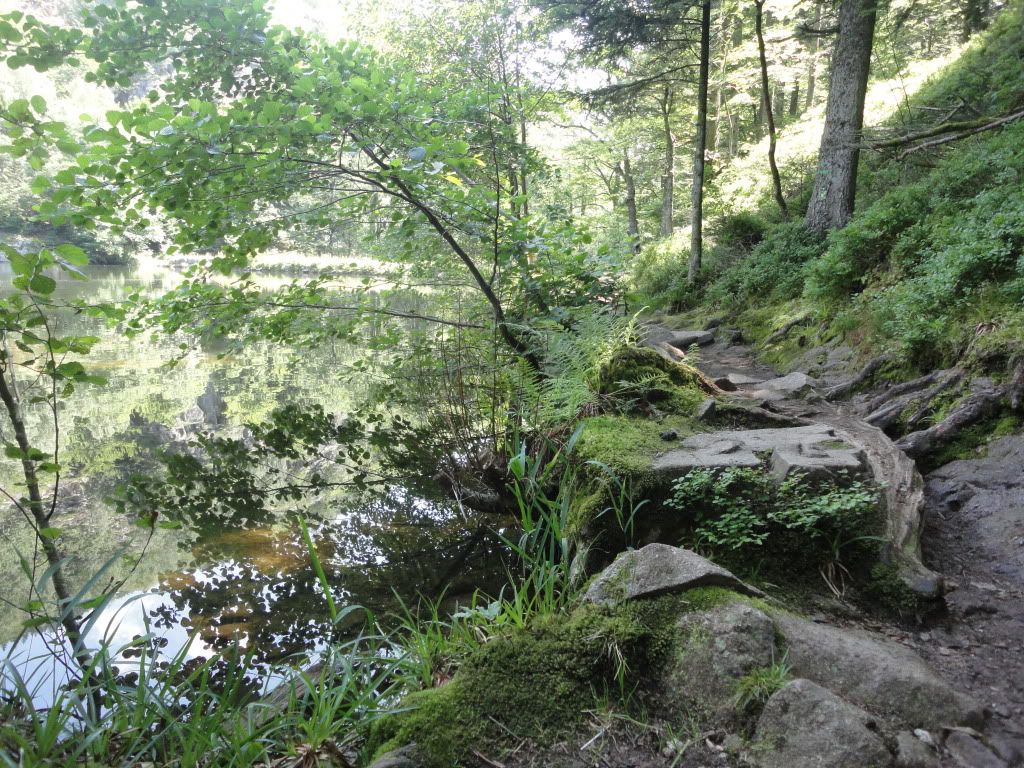 DSC01878.jpg