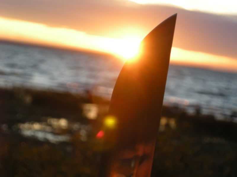 DSCN4243.jpg