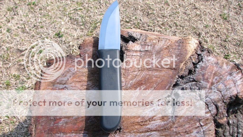 IMG_3191.jpg