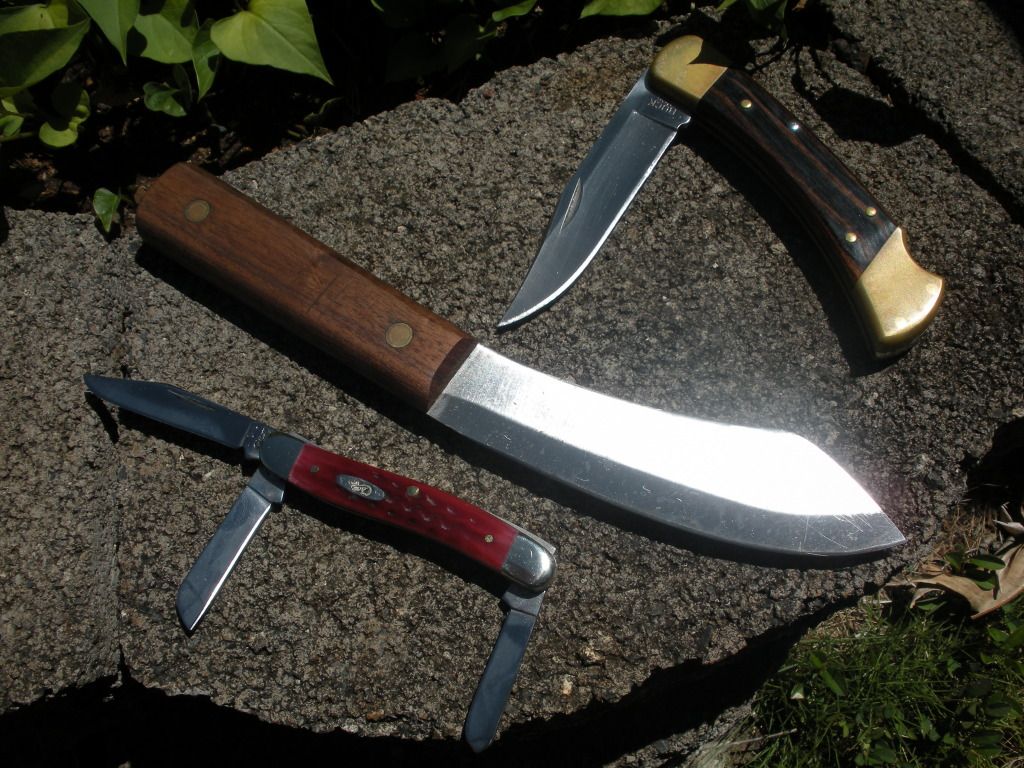 DSCN1030.jpg