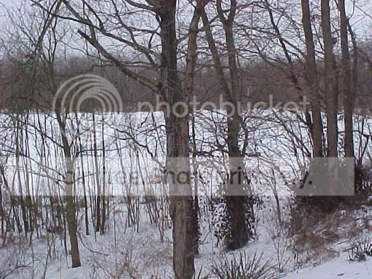 winter2.jpg