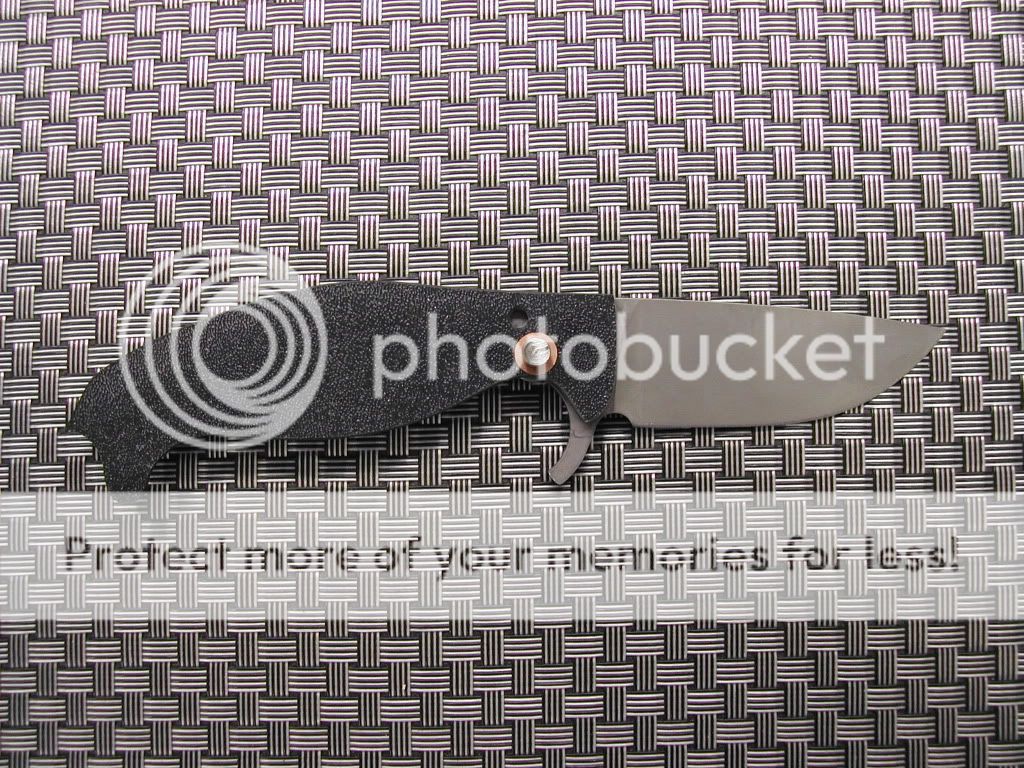 DSCN5019.jpg