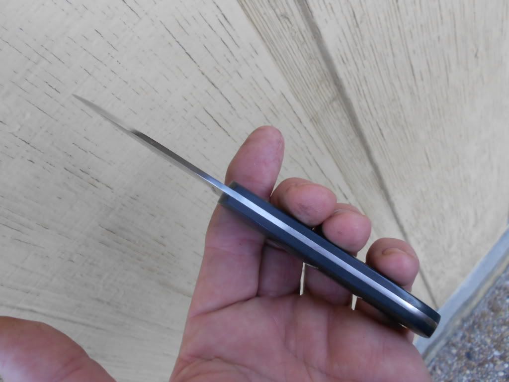 1095G10076.jpg