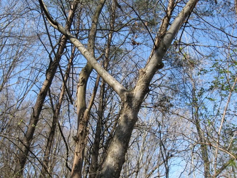 IMG_0167.jpg