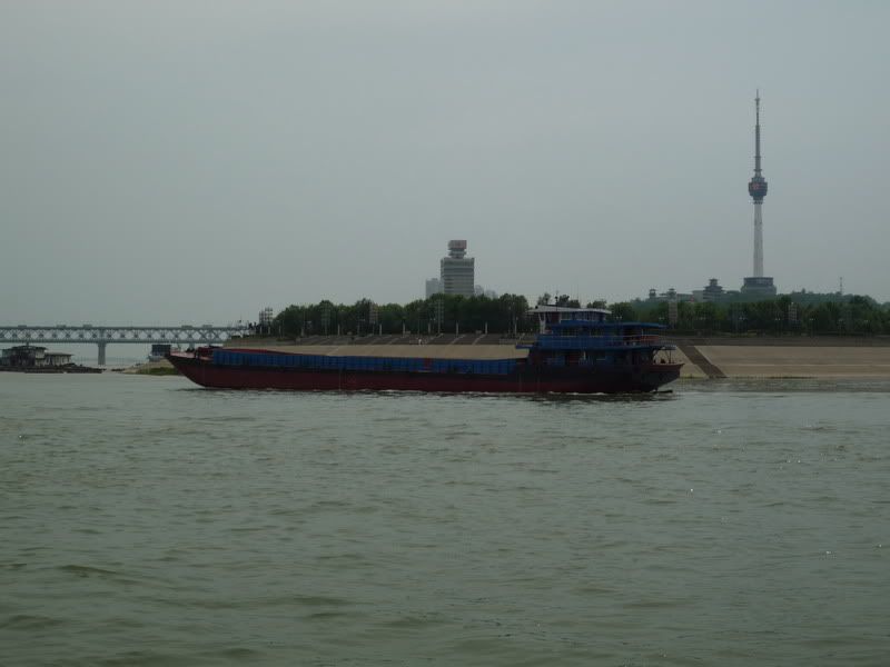 P1060587.jpg