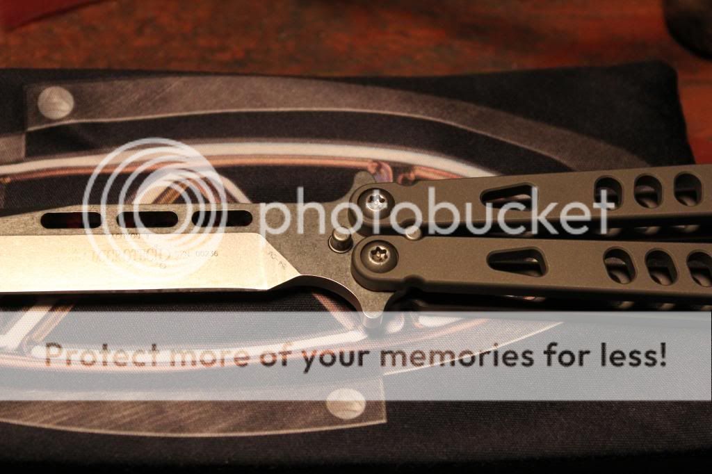 IMG_3528_zps733d7573.jpg