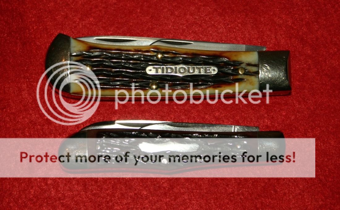 IMG_0375_zps7f1a5f91.jpg~original