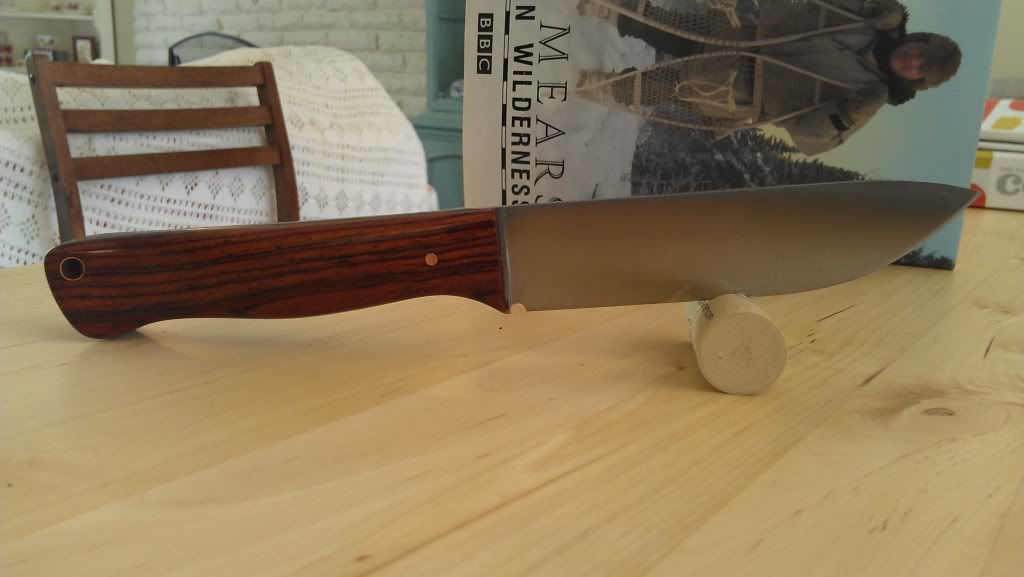IMAG0024.jpg