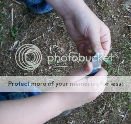 100_1110.jpg