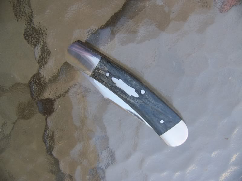 100_4050.jpg