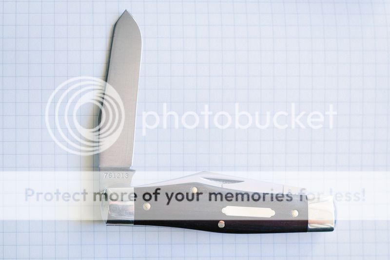 _MG_7520.jpg