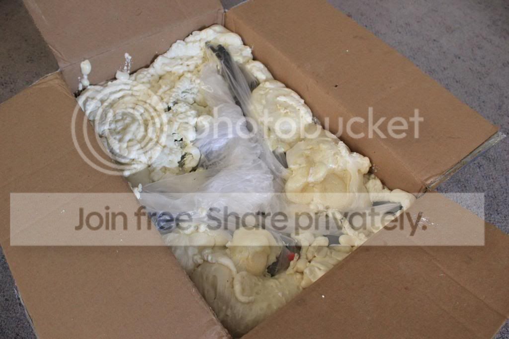IMG_3929_zps28e62fc9.jpg