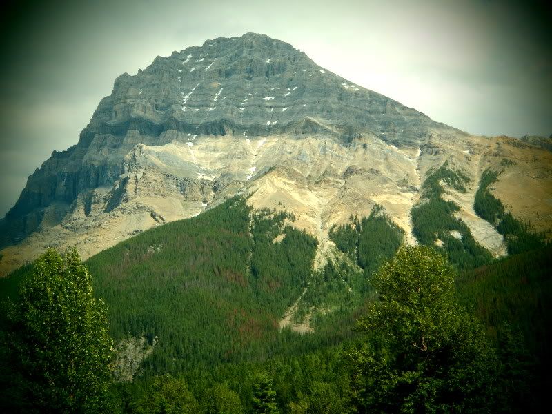 Banff2012068.jpg