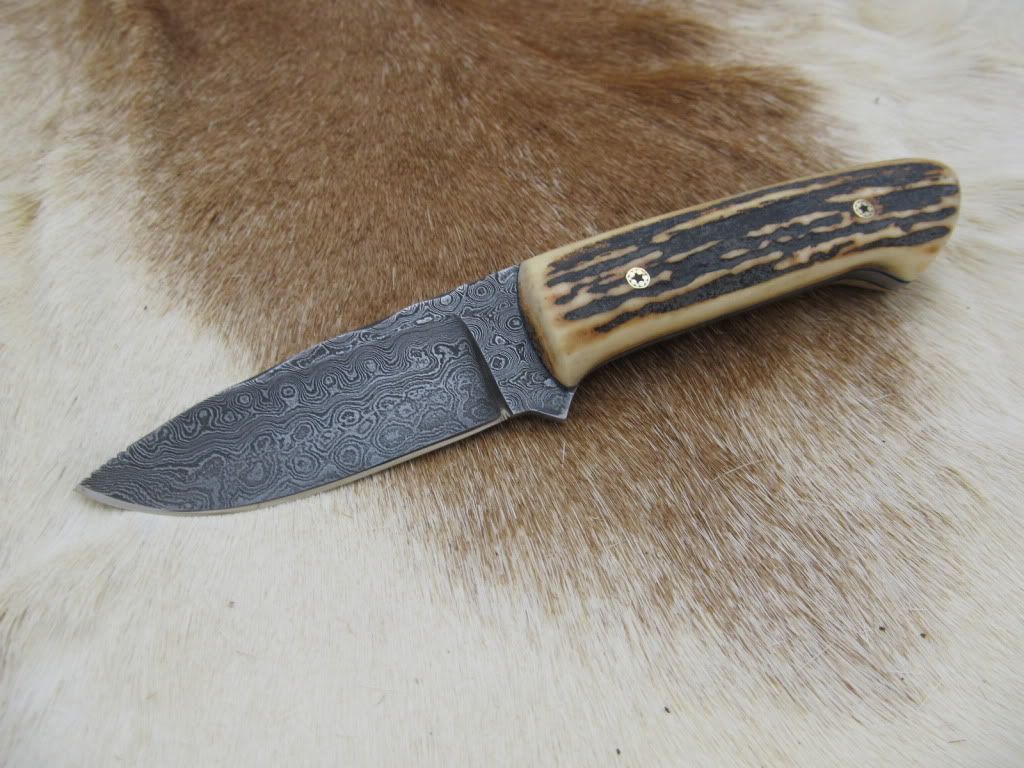 Stagdamascusloveless030.jpg