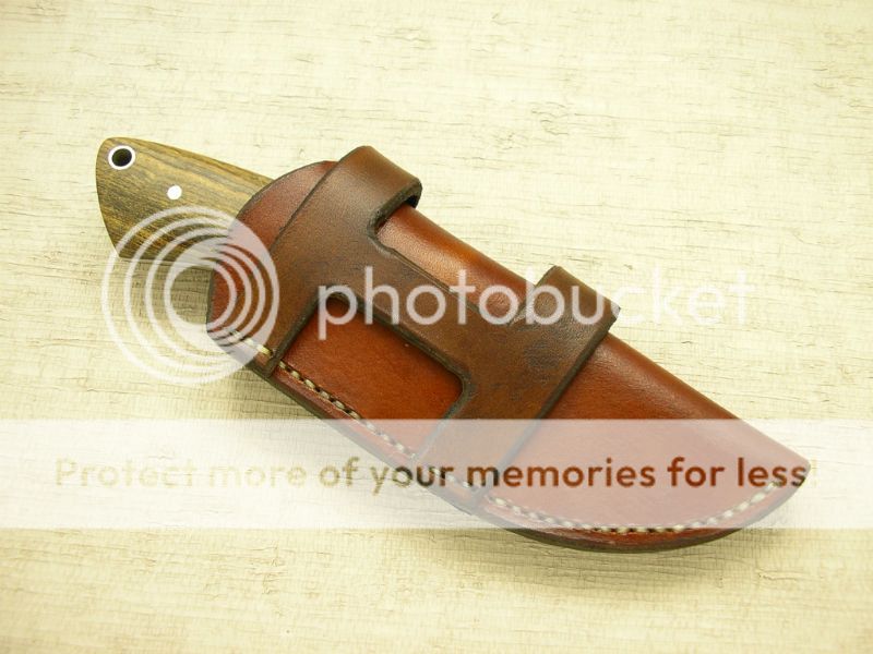 IMGP2049_zps757920b2.jpg