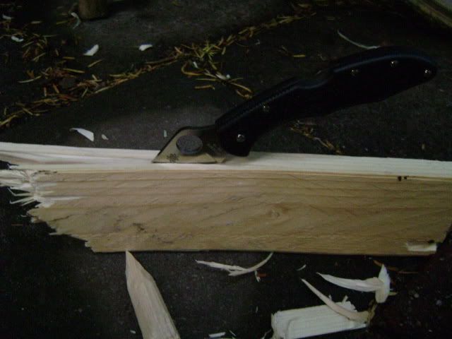 DSC00464.jpg