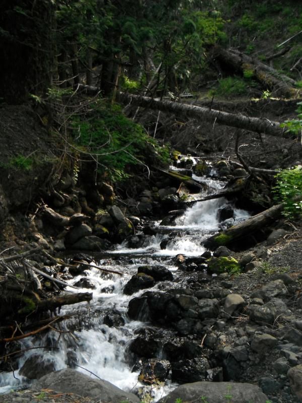DSCF0625.jpg