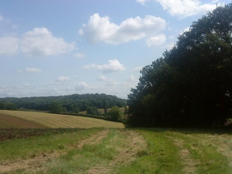 DSC02494.jpg