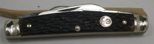 DSCN2556.jpg