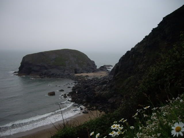 IMGP0452.jpg