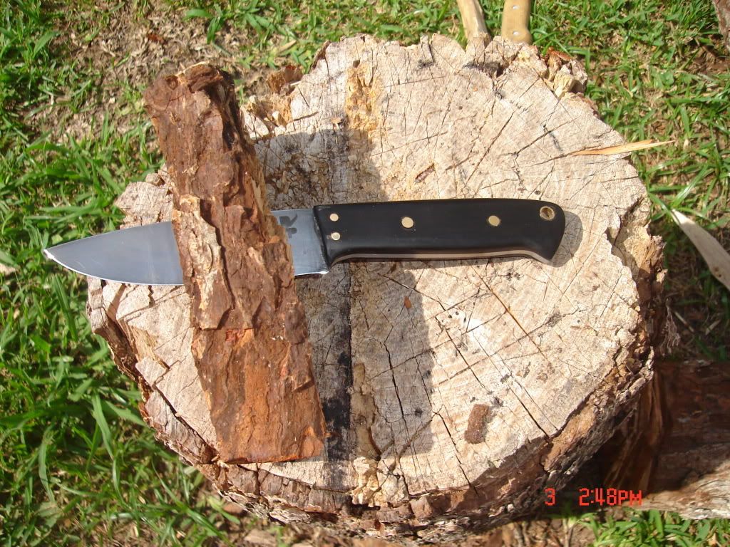 forager011.jpg