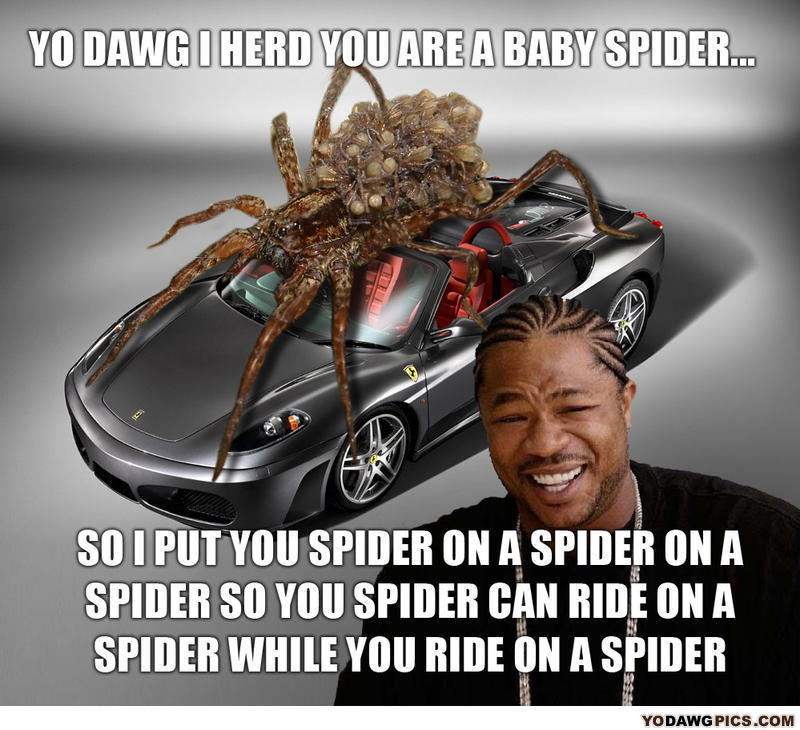 spider-e0e9cc.jpg