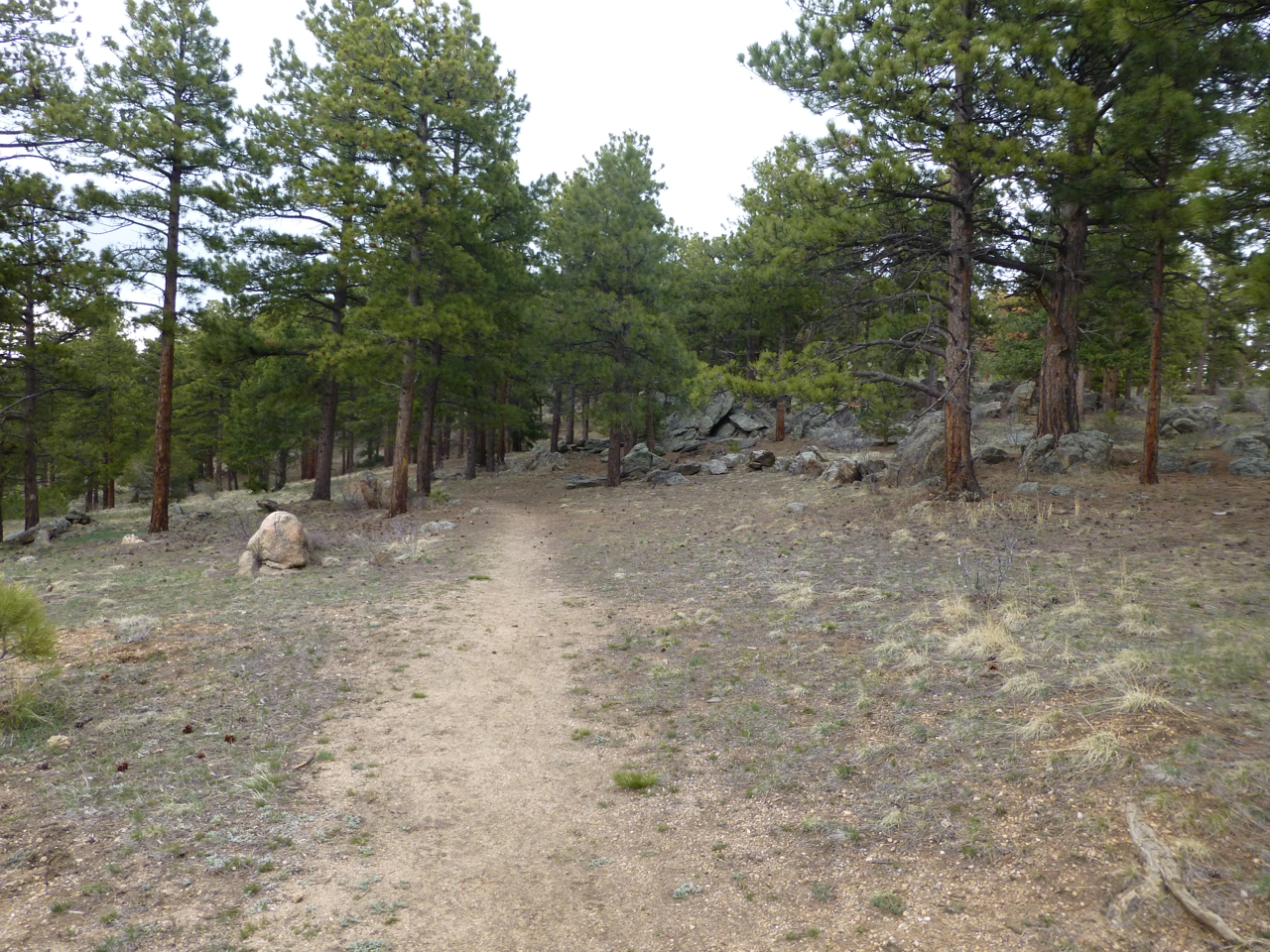 P1050851_zps5d632433.png
