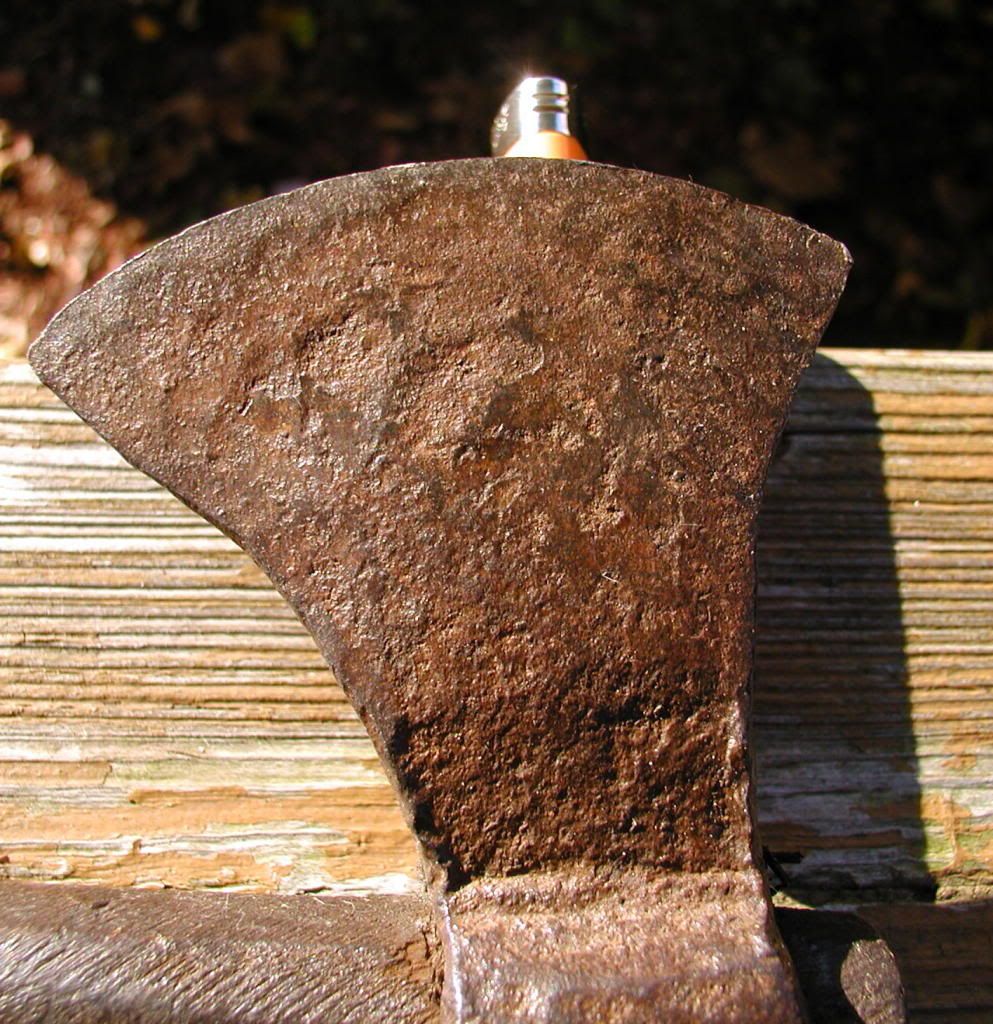 P1010014-1.jpg