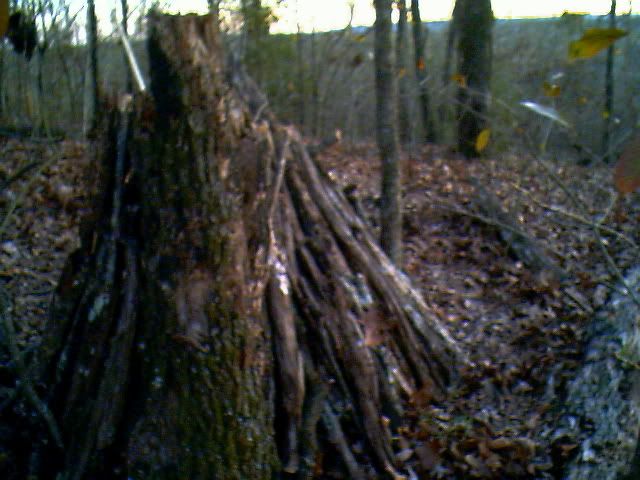 IMG00953.jpg