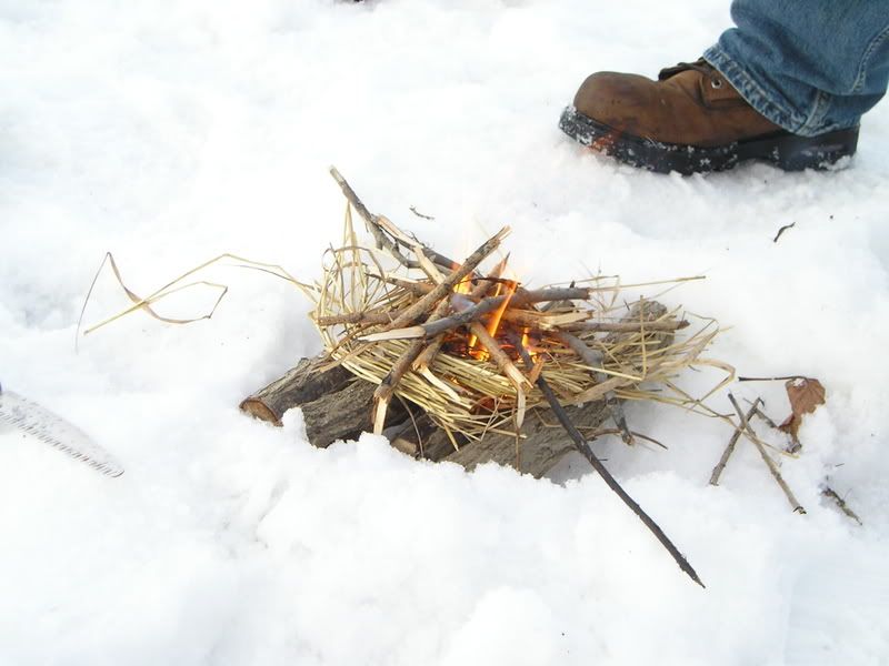 P2020117.jpg