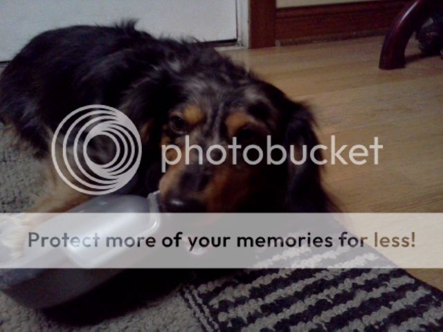IMG_20130208_194919_zps7607c27d.jpg
