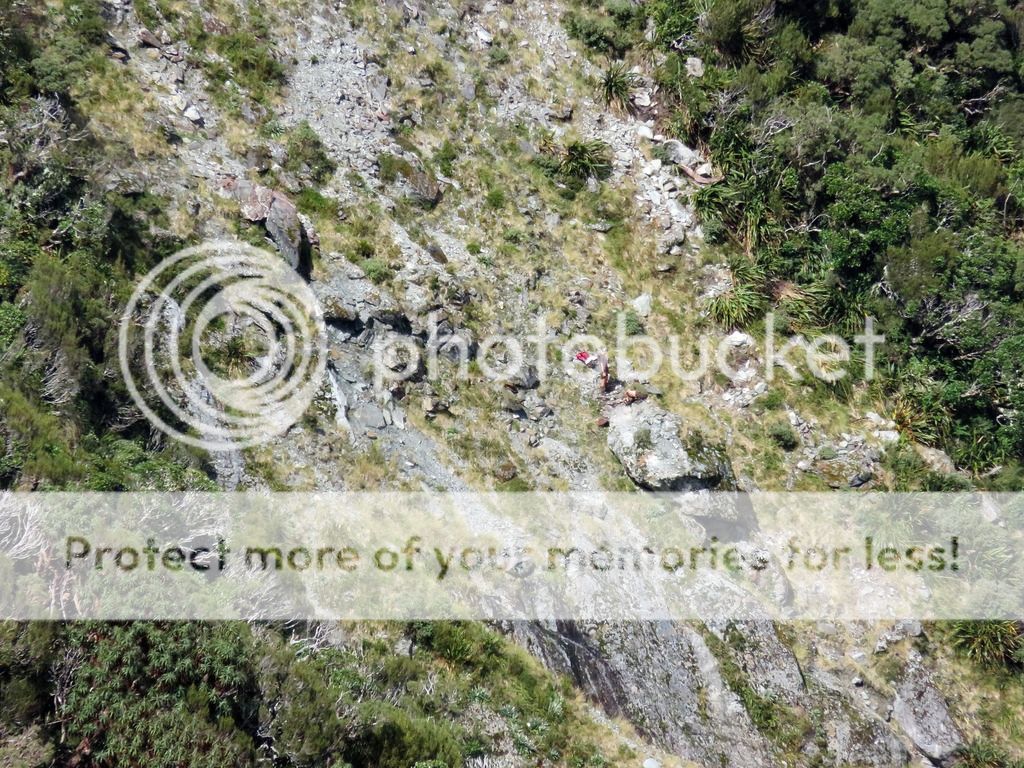 IMG_0335_zpsql7stsmt.jpg