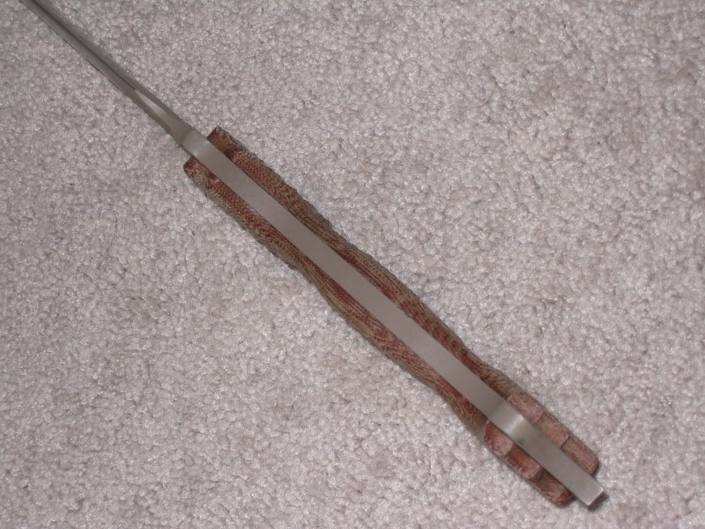 Picture446.jpg