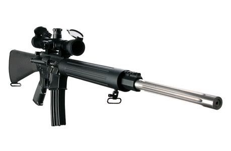 DPMSLR204.jpg
