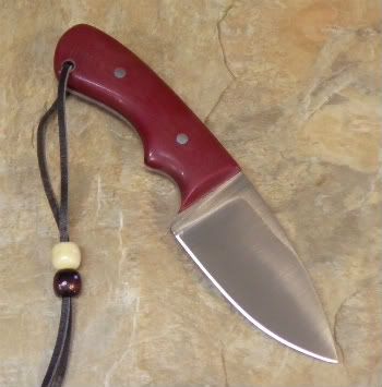 redwhitetail001.jpg
