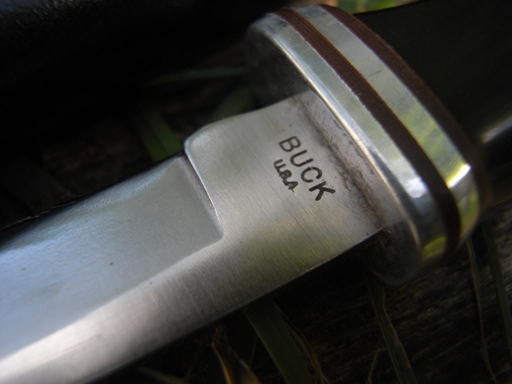 Buck118altRicasso.jpg