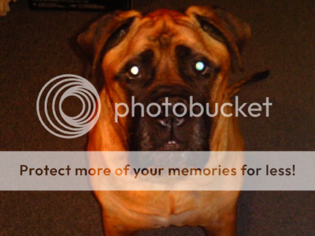 hector%20010.jpg