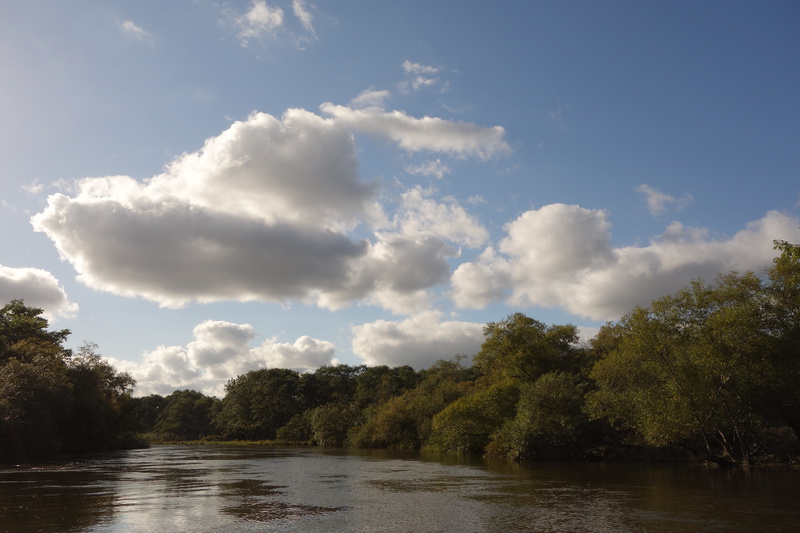 2013.09.19.DSC03509.JPG