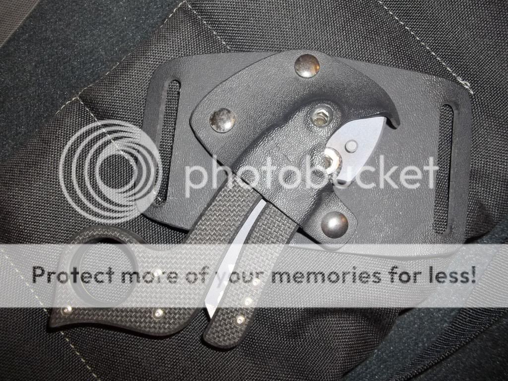 100_1164_zpsdbb800ba.jpg